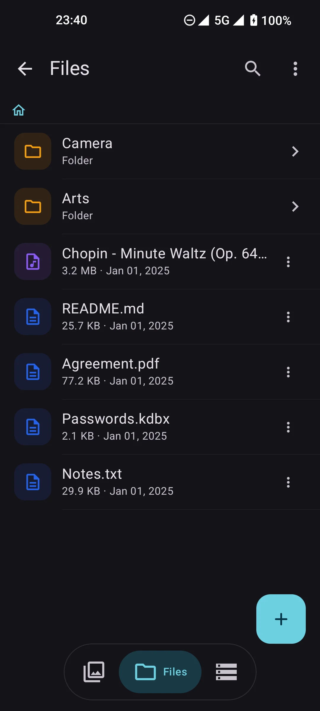 File Manager